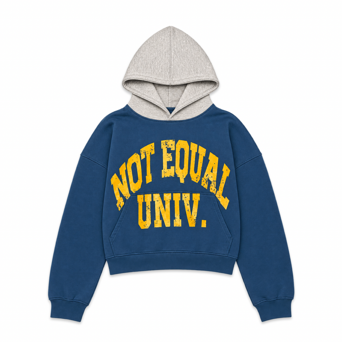 NE UNIV Cropped Relaxed Hoodie - Blue